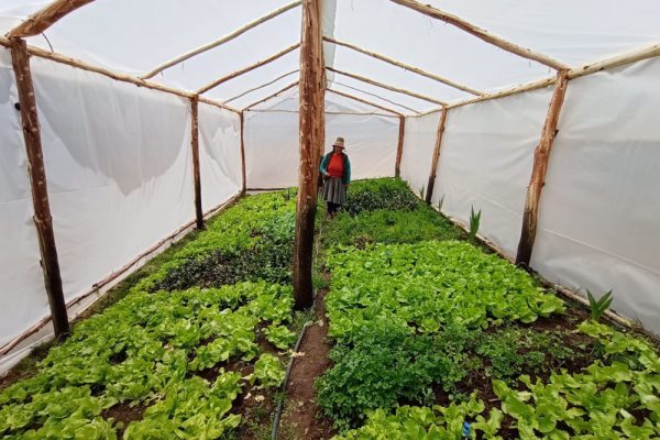 074aff03-8e6c-499b-ae30-ad72d0946793-2-600x400