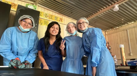 8a6ddcdf-2bc3-4c3f-9902-28865fe95e13