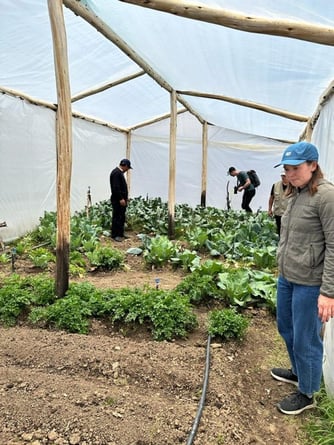 WhatsApp-Image-2023-11-08-at-10_51_17-AM-1-600x800-1