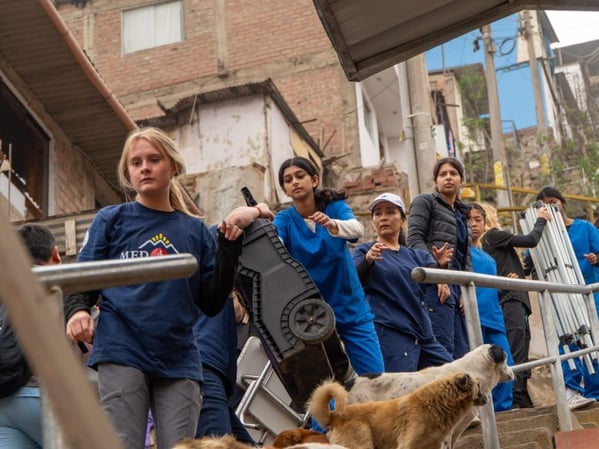 baa6cdd2-44b5-48b5-b1cb-542271ab343a-800x600