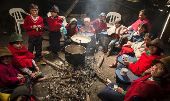 educational-work-medlife-2