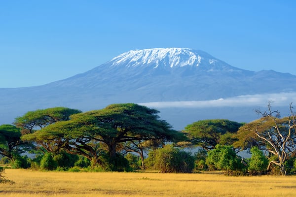 kilimanjaro-on-african-savannah-PZ2SHV9