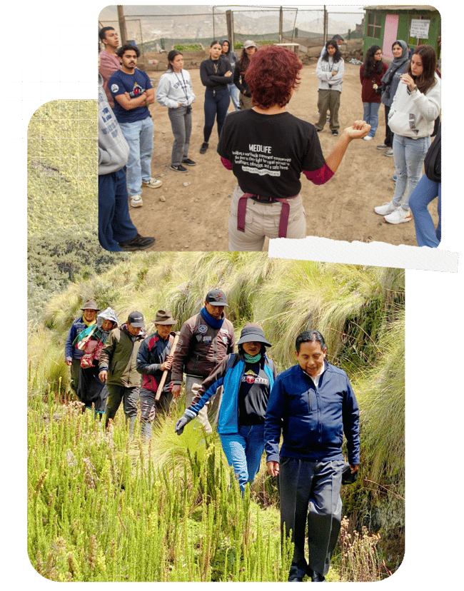 where-we-work-medlife-3